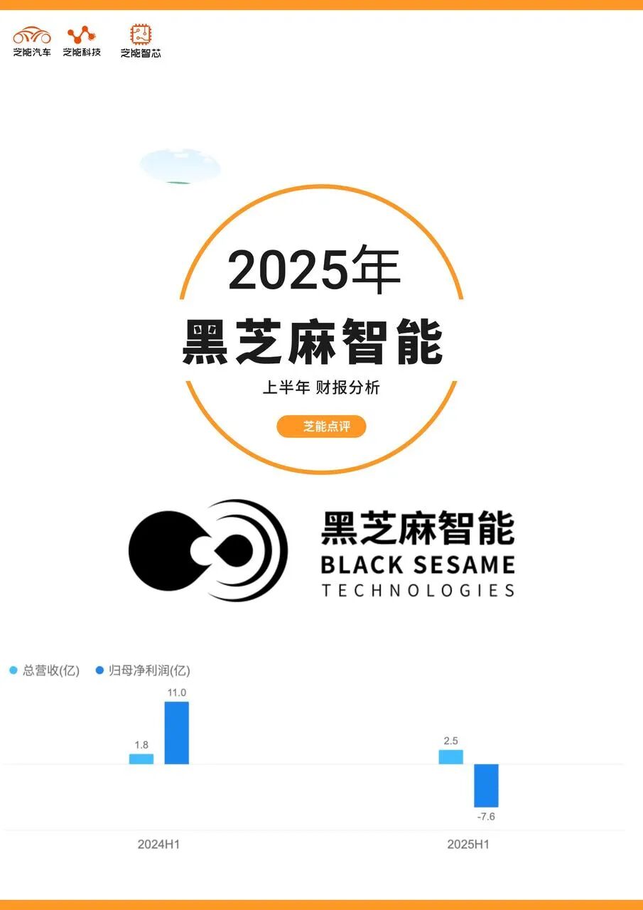 黑芝麻智能2025年上半年财报：增长背后的盈利困境