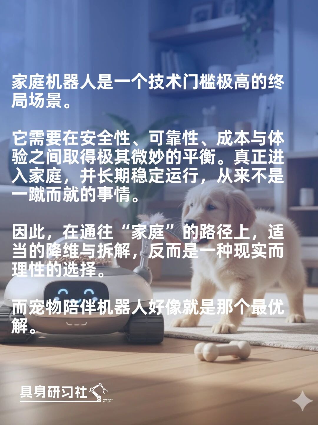 宠物陪伴机器人：从焦虑里生长出来的具身智能